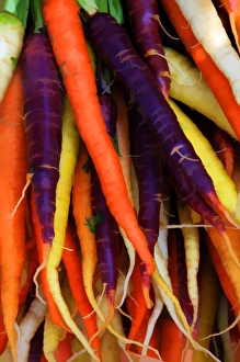 North America, USA, Georgia; Savannah; Multi colored carrots at a Farmers in