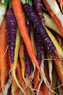 North America, USA, Georgia; Savannah; Multi colored organic carrots at a Farmer s
