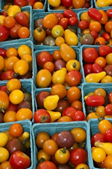 Images Dated 9th June 2012: North America, USA, Georgia; Savannah; Organic cherry tomatoes at a farmer s