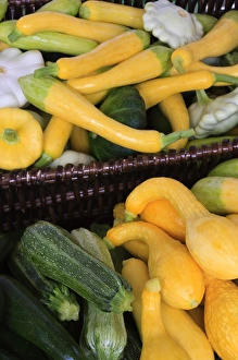 North America, USA, Georgia; Savannah; Organic squash at a Farmers in Savannah