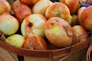 North America, USA, Georgia; Savannah; Sweet onions at a Farmers in Savannah