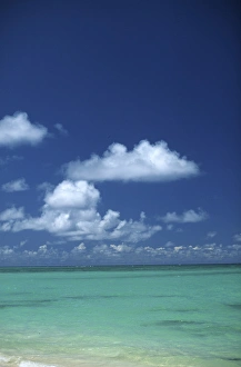 Elan Sunstar Prints: North America, USA, Hawaii. Beach