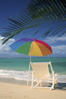 Shade Prints: North America, USA, Hawaii. Beach chair and palm