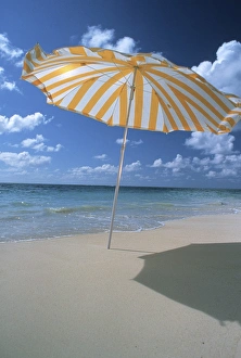 Shade Prints: North America, USA, Hawaii. Beach umbrella