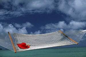 Elan Sunstar Prints: North America, USA, Hawaii. Hammock