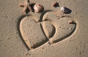 Sea Shell Prints: North America, USA, Hawaii. Hearts drawn in the sand