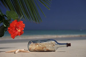 Images Dated 4th March 2008: North America, USA, Hawaii. Message in a bottle