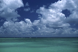 Climate Prints: North America, USA, Hawaii. Ocean view