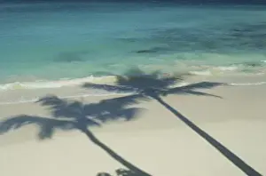 Images Dated 4th March 2008: North America, USA, Hawaii. Palm shadows on tropical beach