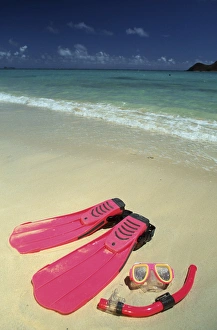Snorkel Prints: North America, USA, Hawaii. Snorkel gear on beach