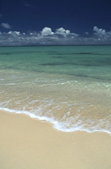 North America, USA, Hawaii. Tropical beach