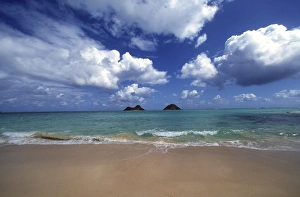 Elan Sunstar Prints: North America, USA, Hawaii. Tropical beach