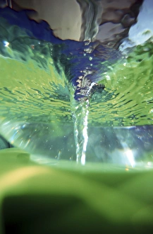 Whirlpool Prints: North America, USA, Hawaii. Whirlpool