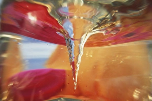 Images Dated 4th March 2008: North America, USA, Hawaii. Whirlpool