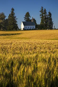 Farm Scenes Prints: North America; USA; Idaho; Freeze Community Church a Freeze, Idahoh on the hill surrounded