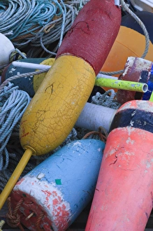 Buoy Prints: North America, USA, Maine. Colorful lobster bouys