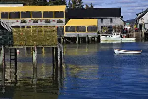 Lobster Prints: North America, USA, Maine. Lobster village at Bass Harbor