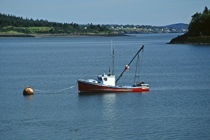 Images Dated 28th August 2009: North America, USA, Maine, Lubec. Fishing boat anchored at Lubec, Maine