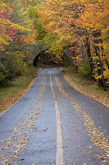 Drive Prints: North America, USA, Maine. Road through Acadia National Park in the fall