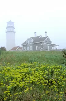Images Dated 18th January 2007: North America, USA, Massachusettes, Cape Cod. Highland Beach lighthouse in morning fog