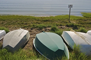 Images Dated 25th May 2008: North America, USA, Massachusetts, Chatham. Rowboats lined up in beach grass near