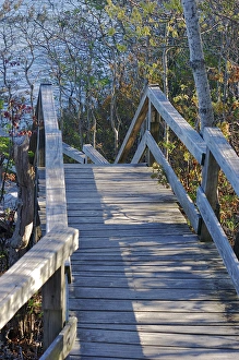 Images Dated 25th May 2008: North America, USA, Massachusetts, Chatham. Wooden walkway leading to the ocean