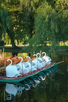 North America, USA, Massachusetts, Boston, swan boats in public garden