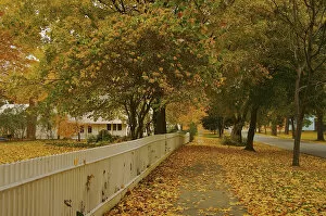 Images Dated 23rd October 2007: North America, USA, Massachusetts, Deerfield. A leaf-strewn sidewalk and white picket