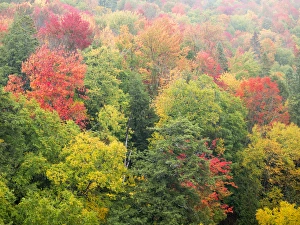 North America, USA, Michigan, Upper Peninsula