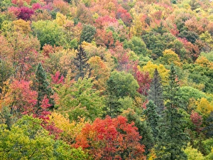 Images Dated 3rd October 2014: North America, USA, Michigan, Upper Peninsula
