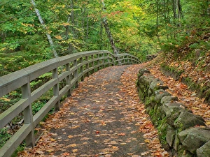 Images Dated 1st October 2014: North America, USA, Michigan, Upper Peninsula. Trail leading to Munising falls in Autumn