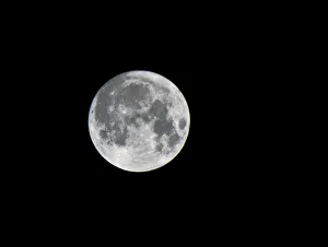 North America, USA, Minnesota, Mendota Heights, Super Moon
