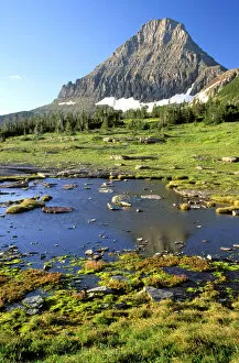 Images Dated 11th May 2006: North America, USA, Montana, Glacier National Park. Reynolds Mountain reflected in