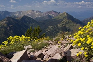 Images Dated 10th August 2009: North America, USA, Montana, Rocky Mountains, Bob Marshall Wilderness, scenic view