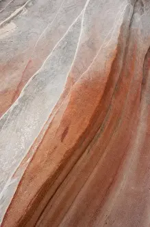 Images Dated 9th March 2013: North America, USA, Nevada, Valley of Fire State Park
