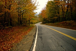 White Mountain Prints: North America, USA, New Hampshire. Curving road through foliage near the White Mountains