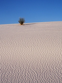 North America; USA; New Mexico, White Sands National Monument; Sand Dune Patterns