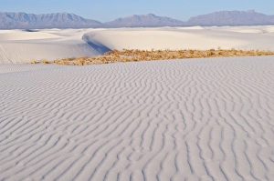 Images Dated 20th October 2011: North America, USA, New Mexico, White Sands National Monument, Transverse Dunes