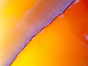 New Mexico Prints: North America; USA; New Mexico; Sant Fe; Agate Closeup, Macro