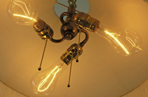 Bulb Prints: North America, USA, New York, Rochester. George Eastman House, filament light bulbs