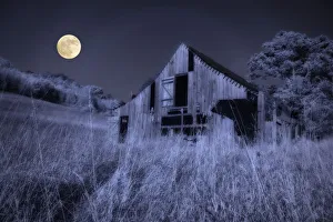 Images Dated 29th October 2005: North America, USA, North Carolina, digitally altered infrared photograph of an old