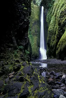 Images Dated 14th April 2005: North America, USA, OR, Columbia River Gorge National Scenic Area, Oneonta Falls