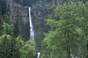 Images Dated 7th March 2005: North America, USA, OR, Columbia River Gorge Multnomah Falls main portion plunges