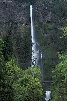 Images Dated 7th March 2005: North America, USA, OR, Columbia River Gorge Multnomah Falls main portion plunges