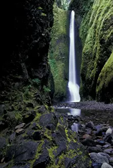 Brent Bergherm Prints: North America, USA, OR, Columbia River Gorge National Scenic Area, Oneonta Falls