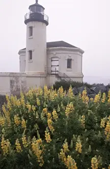 North America, USA, Oregon, near Bandon Coquille River Lighthouse along the Oregon