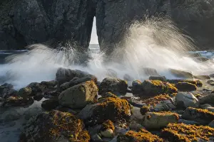 Images Dated 6th June 2015: North America, USA, Oregon. Ocean spray over lichen covered rocks at arch