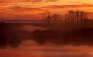 Images Dated 12th July 2010: North America; USA; South Carolina; Foggy sunrise at Savannah National Wildlife Refuge