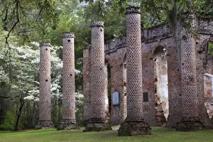 Images Dated 29th March 2011: North America, USA, South Carolina; Ruins in the spring of Old Sheldon Church
