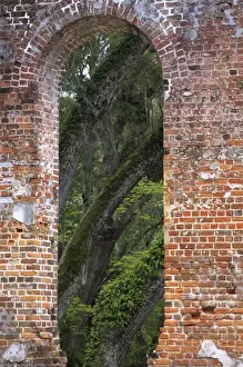Images Dated 29th March 2011: North America, USA, South Carolina; Ruins in the spring of Old Sheldon Church